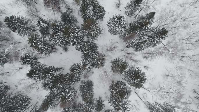 中国黑龙江雪乡林海雪原风景航拍