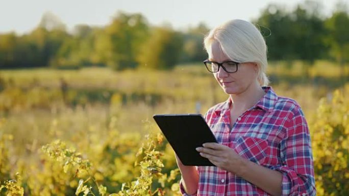 农民在田间使用平板电脑。日落时