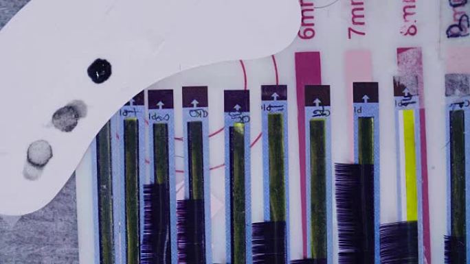 主人的手从片场拿睫毛