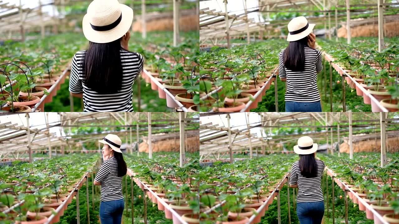 农业: 亚洲女农夫在田间使用数字平板电脑，智能农业和技术概念