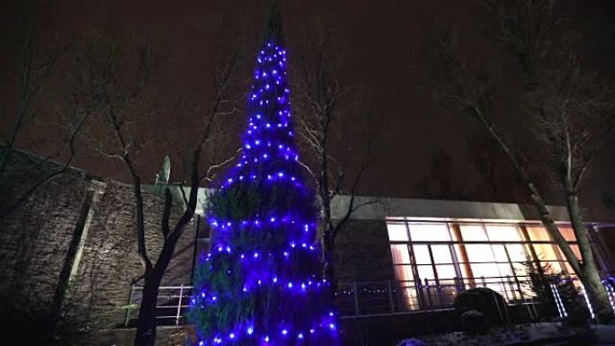 现代房屋或餐厅的外部，圣诞灯在树上点亮，在夜空中，相机运动，装饰有圣诞灯的树，高大的树灯，从下面看