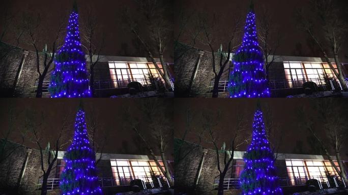 现代房屋或餐厅的外部，圣诞灯在树上点亮，在夜空中，相机运动，装饰有圣诞灯的树，高大的树灯，从下面看