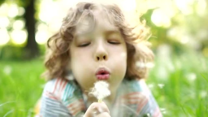 一个快乐的孩子躺在夏天的草地上，手里拿着一朵花。吹着蒲公英的卷发男孩。儿童节。暑假快乐