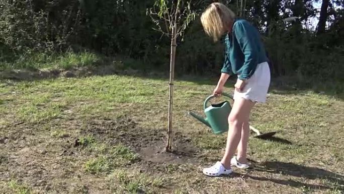女人在院子里种树