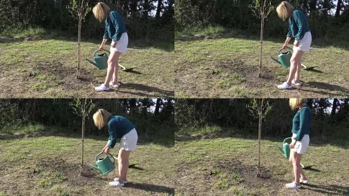 女人在院子里种树
