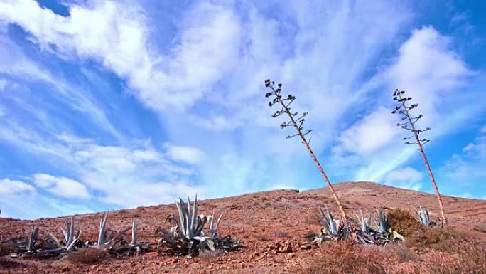 Cerro del Olival和monta ñ a de Piedra Sal延时视频，富埃特文图