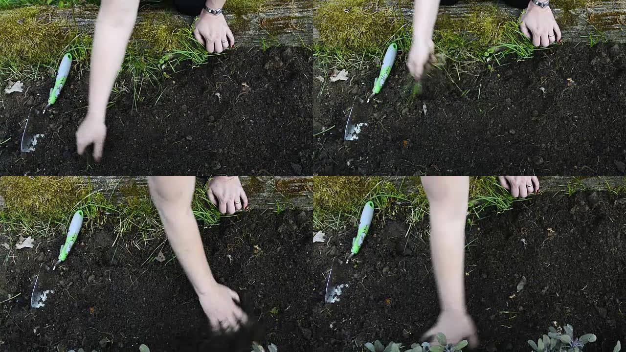女童手在花园里用抹刀挖土的特写镜头