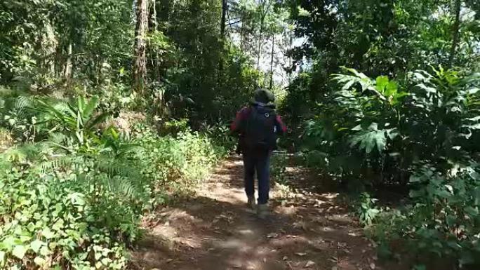年轻人背着背包在热带丛林徒步旅行。