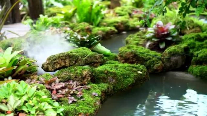 后院的观赏花园