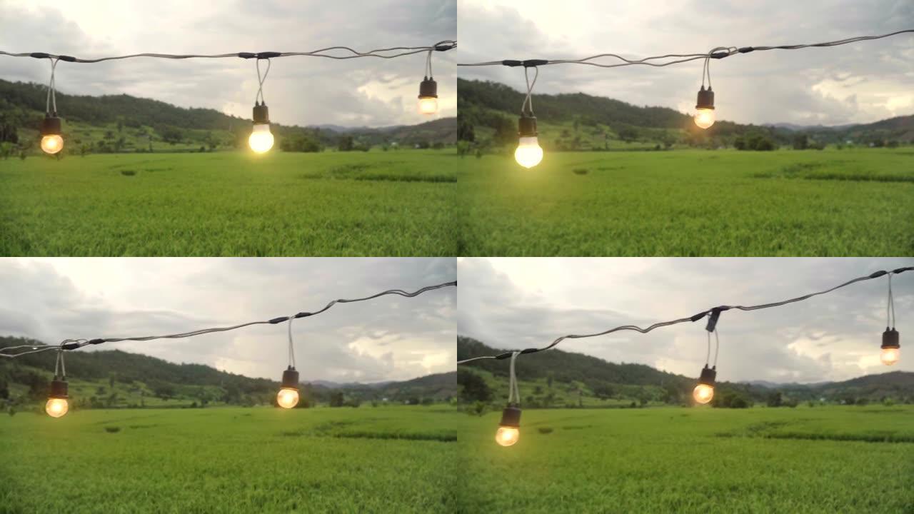 下面:点缀稻田间的灯光