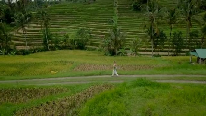 印度尼西亚巴厘岛水稻梯田游荡的年轻女子的无人机鸟瞰图。徒步旅行人群概念