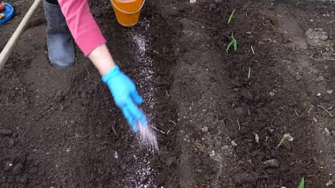 将复合肥料引入土壤。