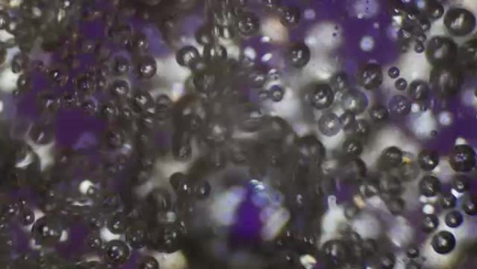 偏振光显微镜下维生素c气泡