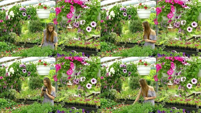 年轻女子照顾温室中的花园花朵