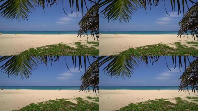 美丽的热带海滩和椰树海