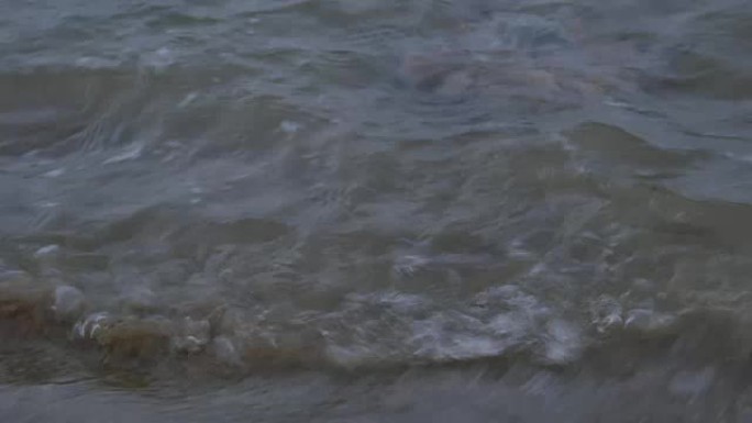 沙滩上有沙蟹的死水母鱼，浅波冲刷着水母鱼-总长16秒