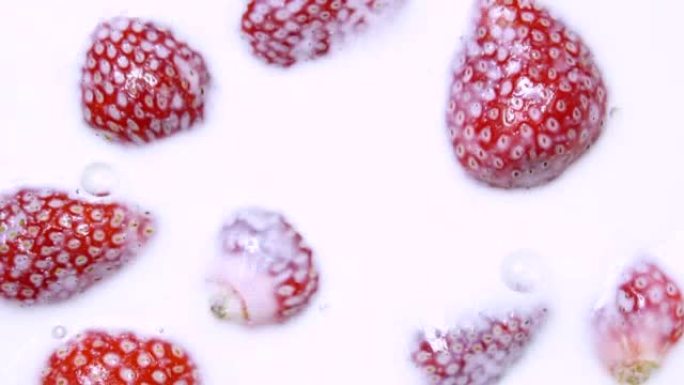 红熟草莓落入牛奶慢动作视频捕捉