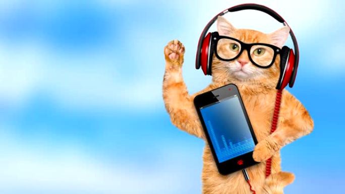 电影-戴着耳机听音乐的猫。