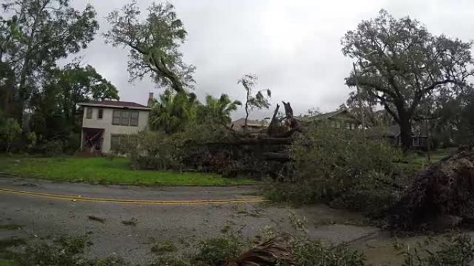 佛罗里达州奥兰多历史悠久的Eola Heights湖市中心的飓风Irma破坏