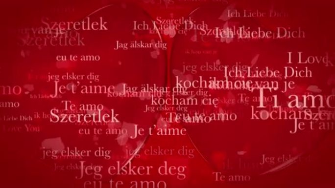 循环准备情人节主题剪辑的短语 “我爱你” 在各种欧洲语言中，带有移动的心形粒子和红色背景上的两个3D