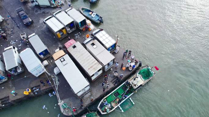 渔港码头卸鱼海鲜渔船停泊鲜活海鲜分拣