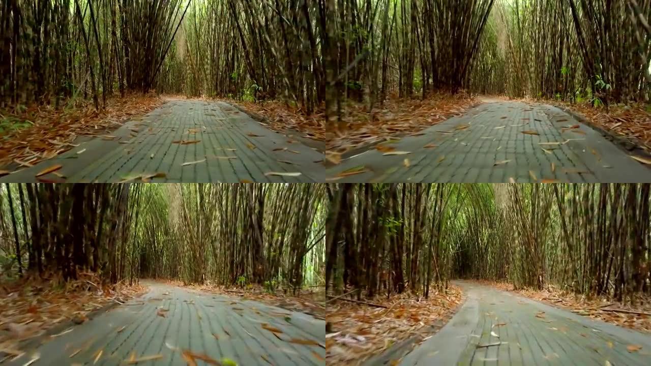 无人机以4k分辨率拍摄印度尼西亚巴厘岛竹林的鸟瞰图，没有人只有自然和绿色风景。户外旅行概念。