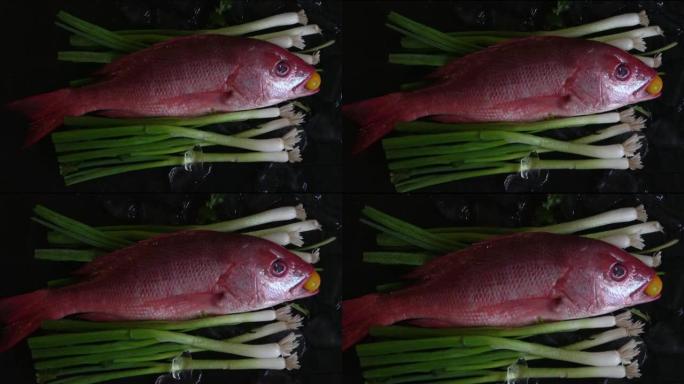 红鲷鱼新鲜生放在葱床上。