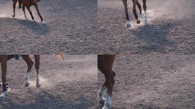 在训练区的沙滩上奔跑的马脚，在地面上疾驰的公马腿的特写镜头，慢动作