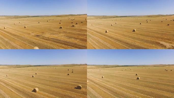 天线:收获后麦田里堆积的干草堆