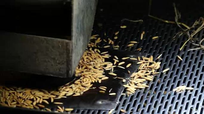 碾米机上的慢动作米粒