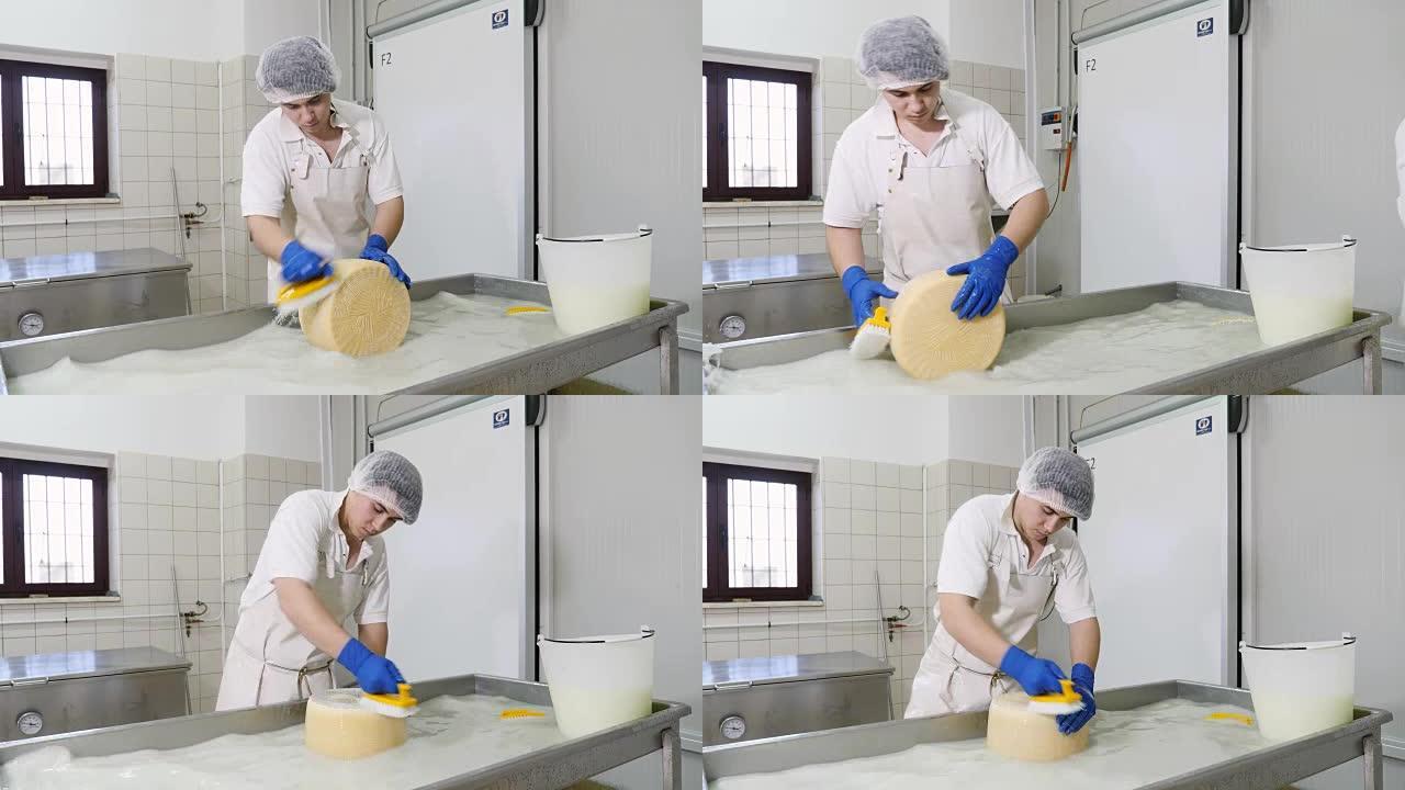 日记奶酪工厂-操作员清洗奶酪形状
