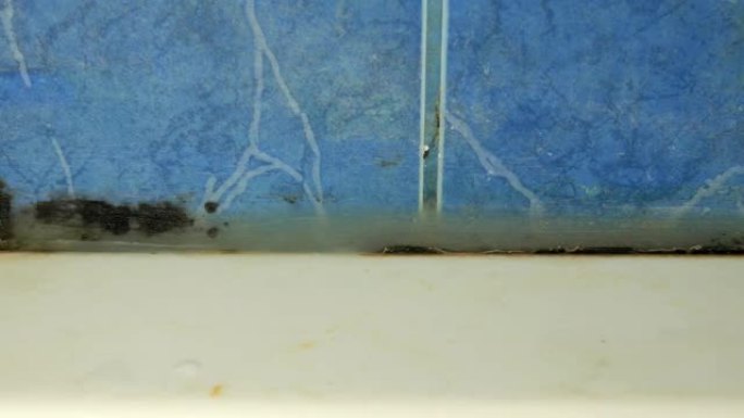 清洁发霉的浴室末端淋浴柜。