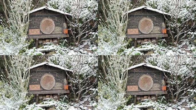 冬季野生蜂虫酒店。花园里下雪。