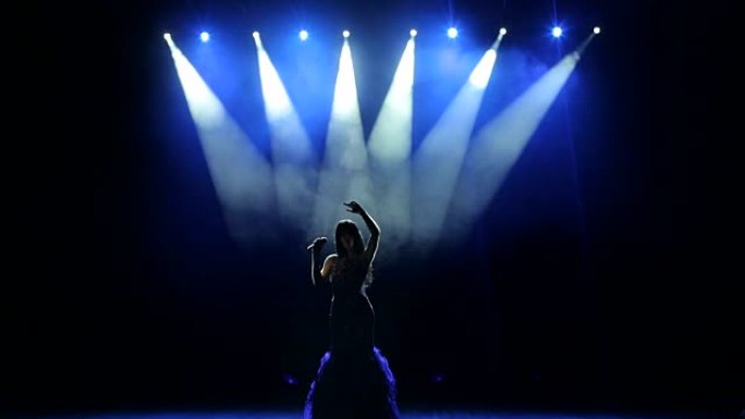 歌手在舞台上表演的剪影。