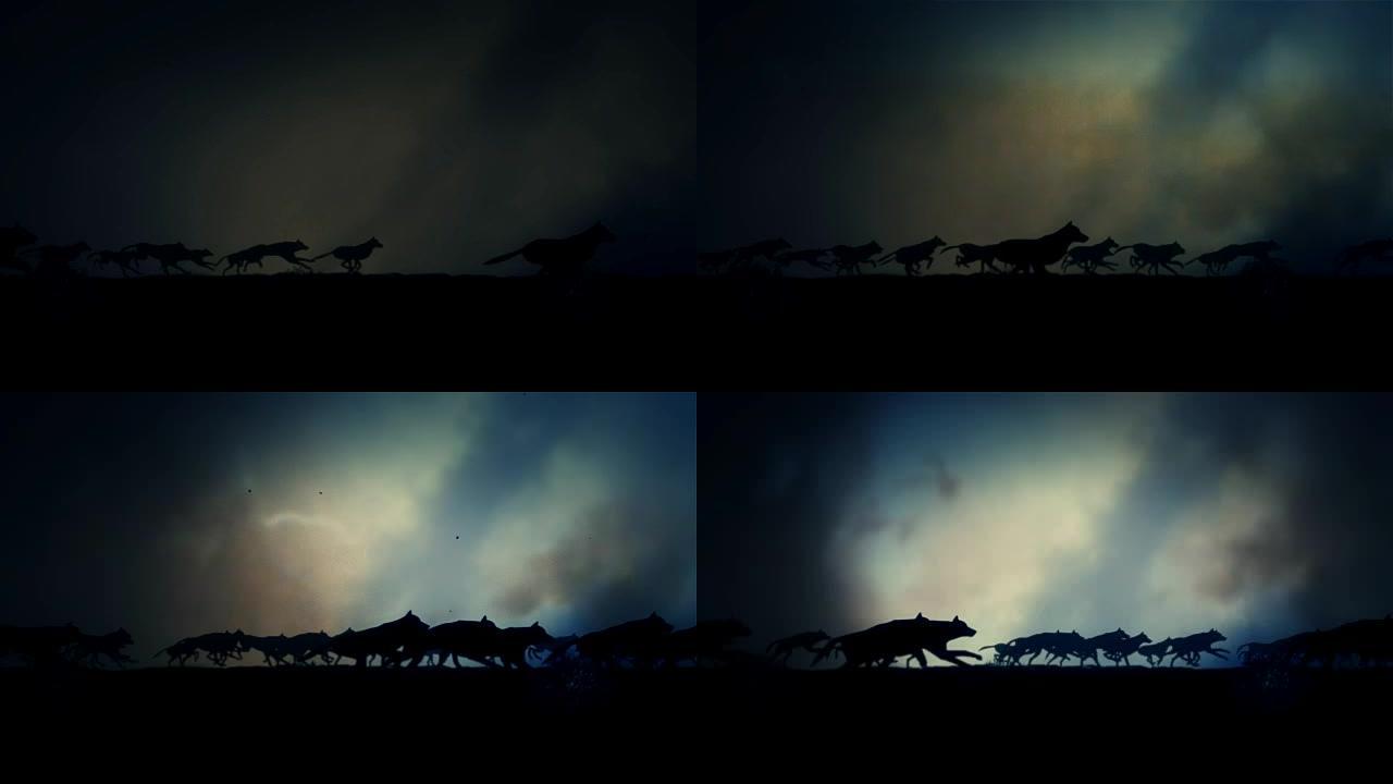 大狼群在闪电风暴中奔跑
