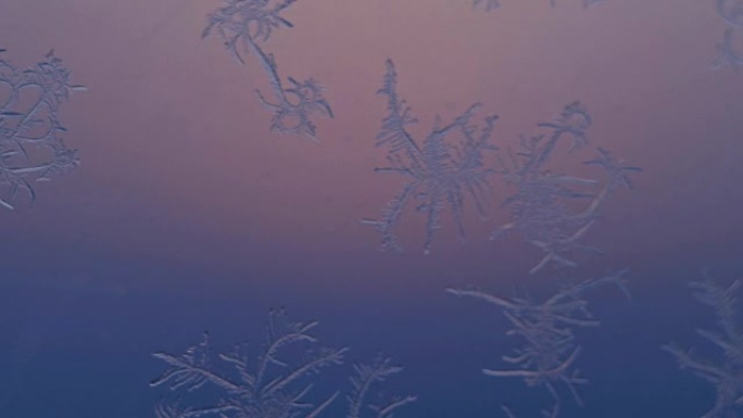 超微距拍摄中窗户上的雪花。