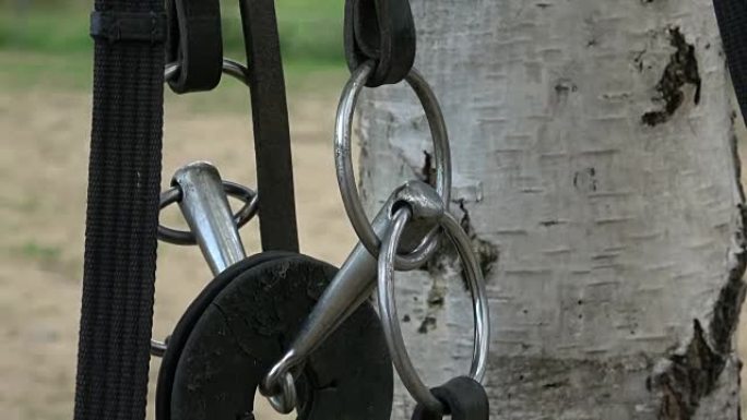 Horse bit and bridle hanging outside a horses stab