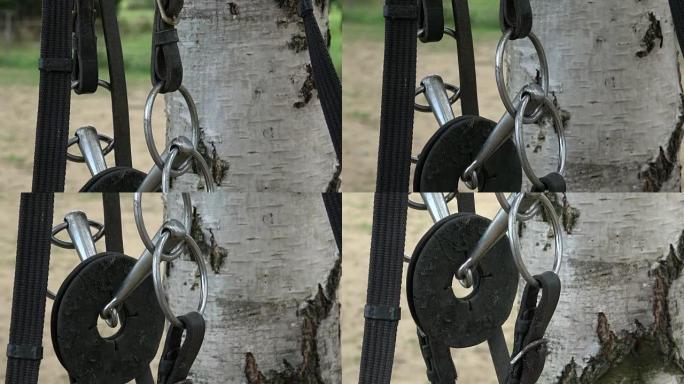 Horse bit and bridle hanging outside a horses stab