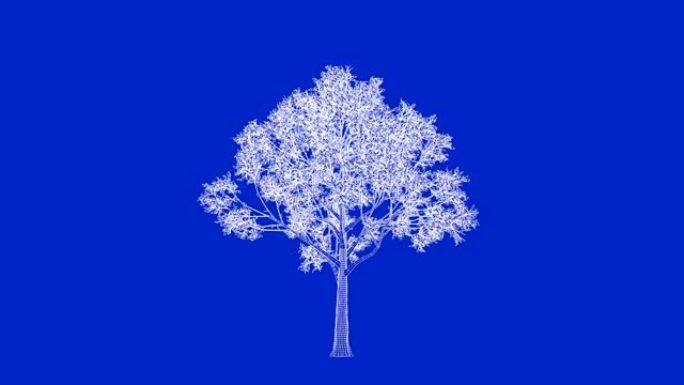使用leafs蓝图对不断增长的概念树进行3d渲染