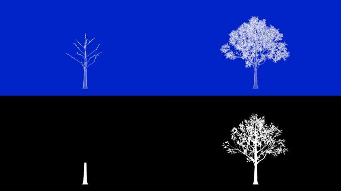 使用leafs蓝图对不断增长的概念树进行3d渲染