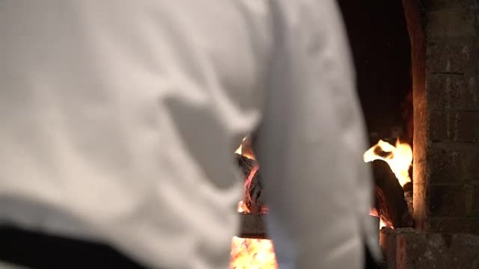 慢动作在木火中烤的整只鸭子