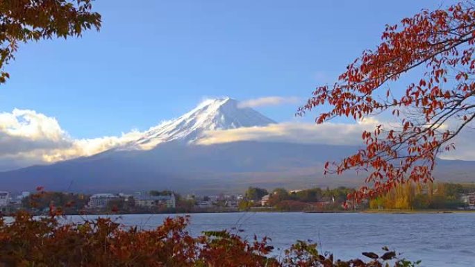 日本秋色富士山