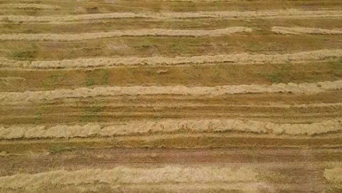 Aerial of agricultural fields after harvest. Strip