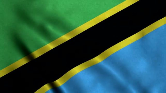 坦桑尼亚4K无缝可循环旗帜
