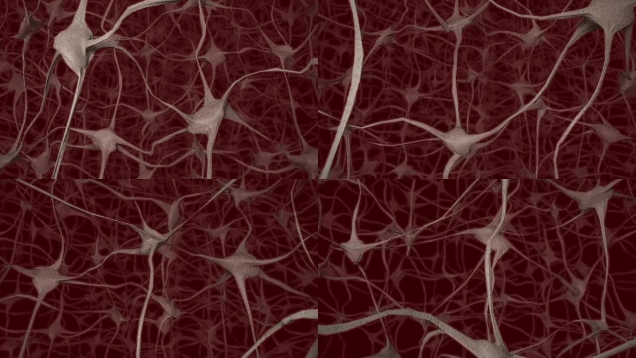 神经元脑心轴突思想神经网络全息细胞健康科学4k