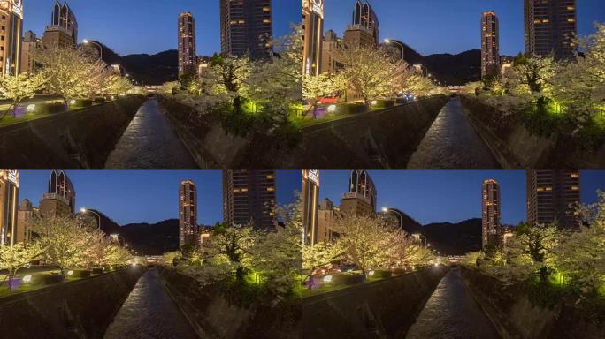 4k延时-日本神户河之间的樱花树