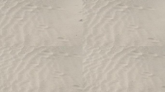 细白色纯砂。特写