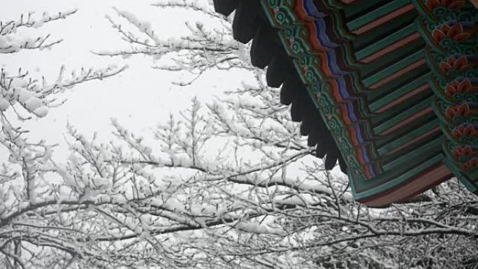江原道江陵市屋檐下的雪
