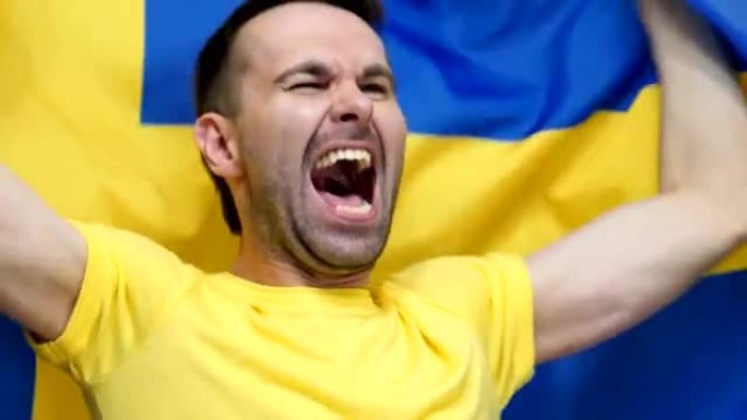 瑞典球迷在慢动作中举着瑞典国旗庆祝，4k，高品质