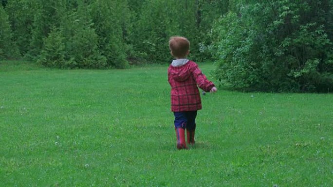 年轻可爱的孩子在森林里追逐一只小鸟